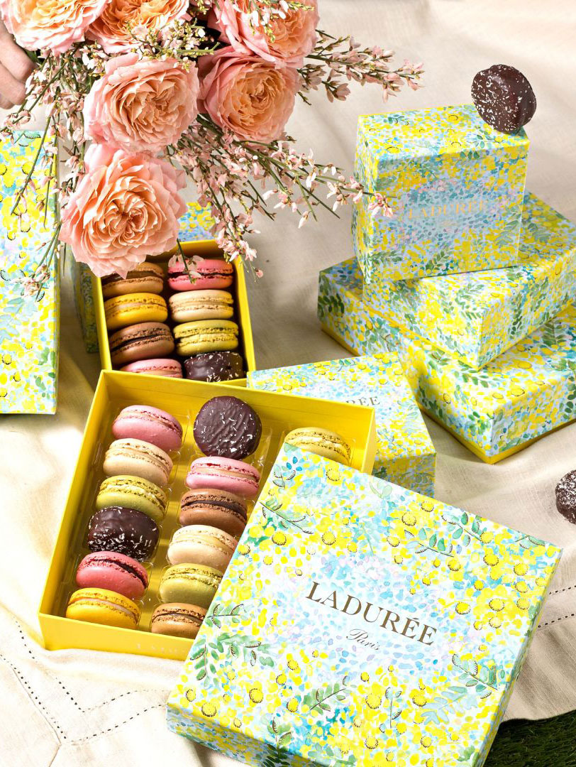 Laduree_lp_382X508.jpg